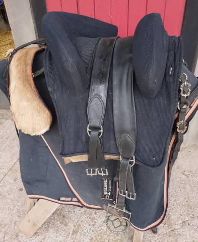 Sella portoghese  Portugaise  17.5" - 2016