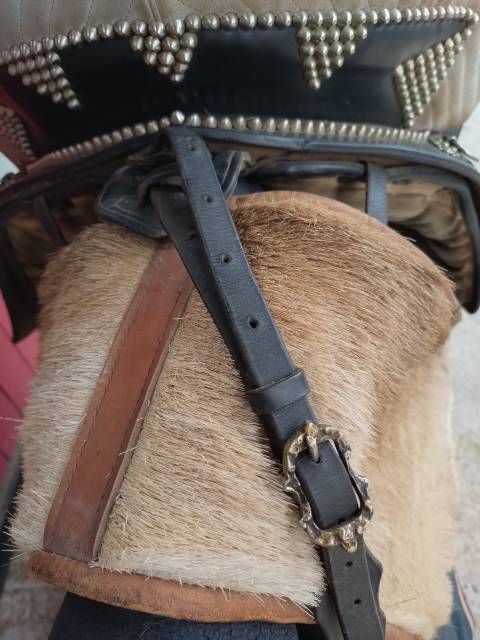 Sella portoghese  Portugaise  17.5" - 2016