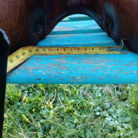 Sella da dressage Devoucoux  18" - 2008