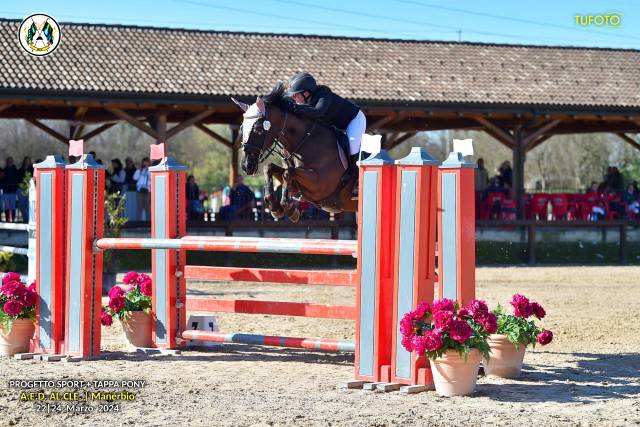 ⚠️VENDESI PONY⚠️