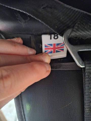 Sella da dressage Thorowgood   18" - 2022