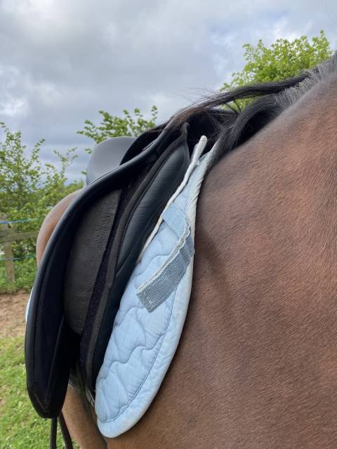 Sella da dressage Thorowgood   18" - 2022