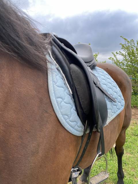 Sella da dressage Thorowgood   18" - 2022