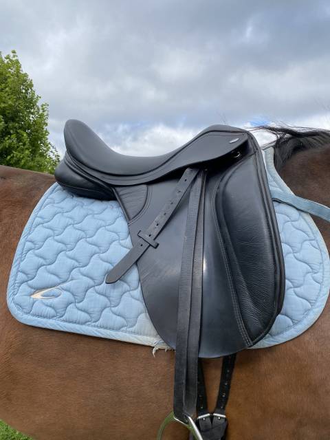 Sella da dressage Thorowgood   18" - 2022