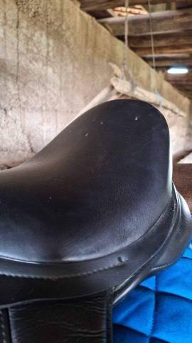 Sella da dressage Thorowgood   18" - 2022