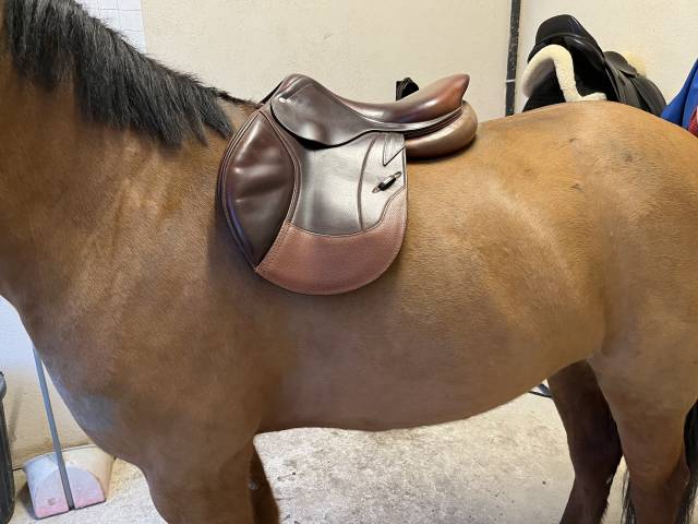 Sella da salto ostacoli CWD  17" - 2012