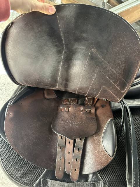 Sella mista Renaissance  18" - 2021