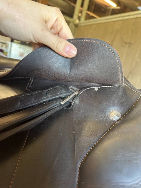 Sella mista Renaissance  18" - 2021