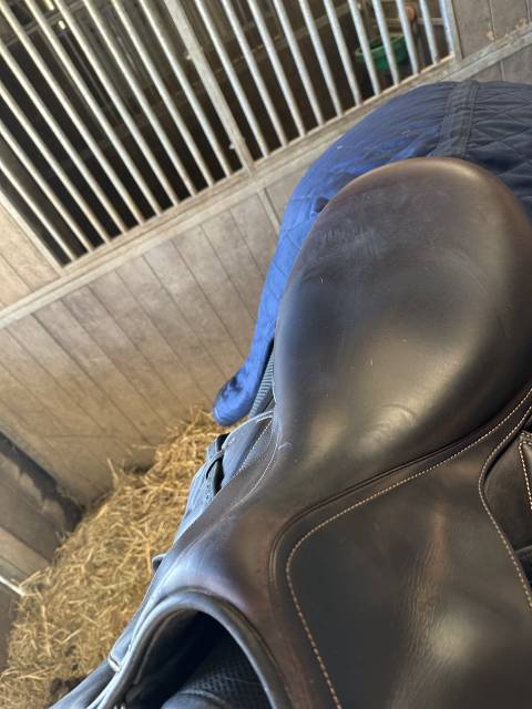 Sella mista Renaissance  18" - 2021