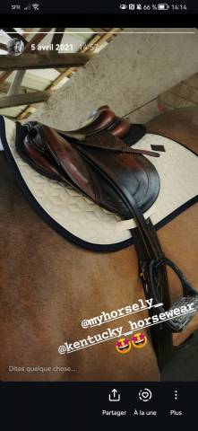 Sella da salto ostacoli CWD Creuse  17" - 2011