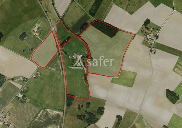 Azienda agricola In vendita Charente-Maritime