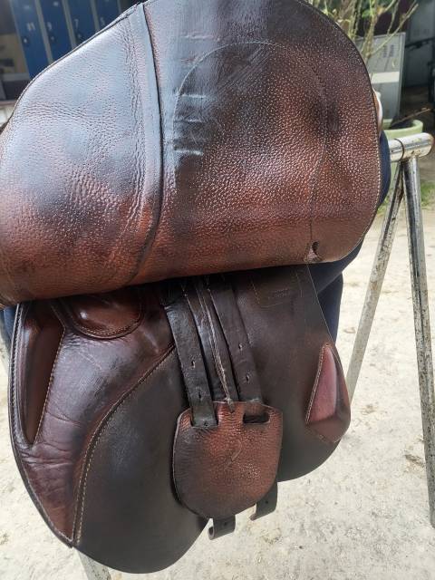 Sella da salto ostacoli Antarès Classique  17" - 2015