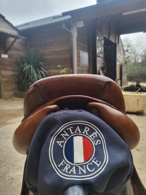 Sella da salto ostacoli Antarès Classique  17" - 2015