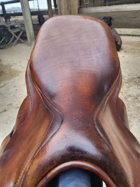 Sella da salto ostacoli Antarès Classique  17" - 2015