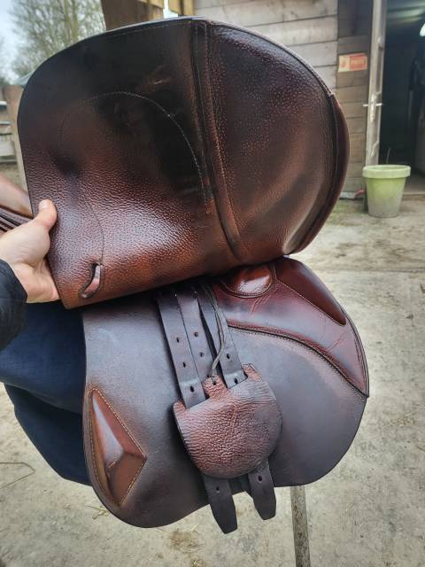 Sella da salto ostacoli Antarès Classique  17" - 2015