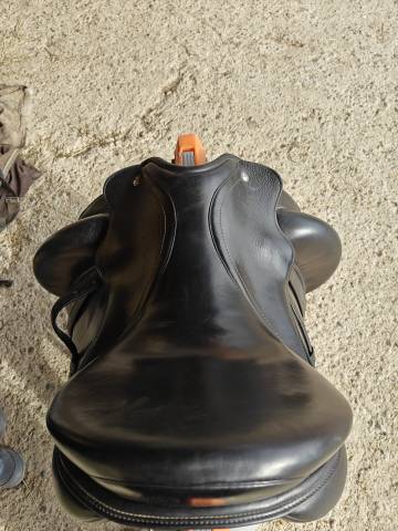 Sella dressage 