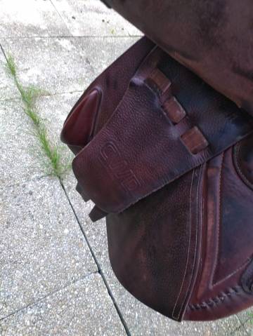 Sella da salto ostacoli CWD  17.5" - 2013