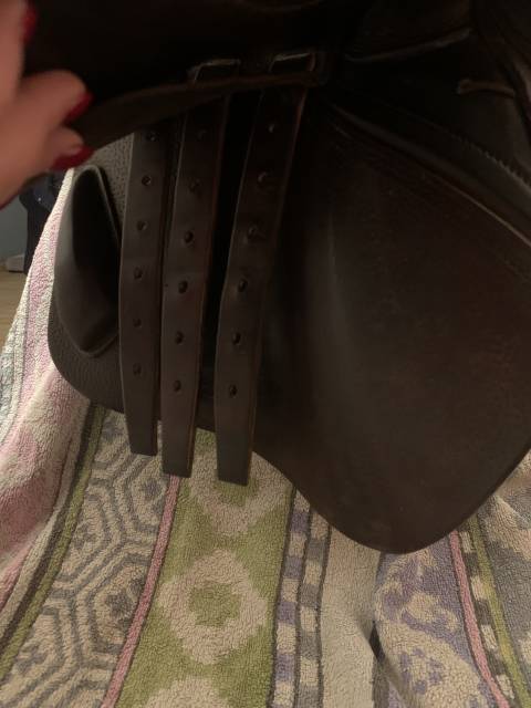 Sella mista CWD  17" - 2014