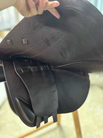 Sella da salto ostacoli CWD  17.5" - 2018