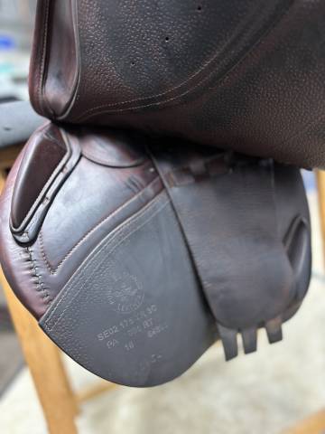 Sella da salto ostacoli CWD  17.5" - 2018