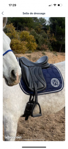 Sella da dressage Eric Thomas  18" - 2010