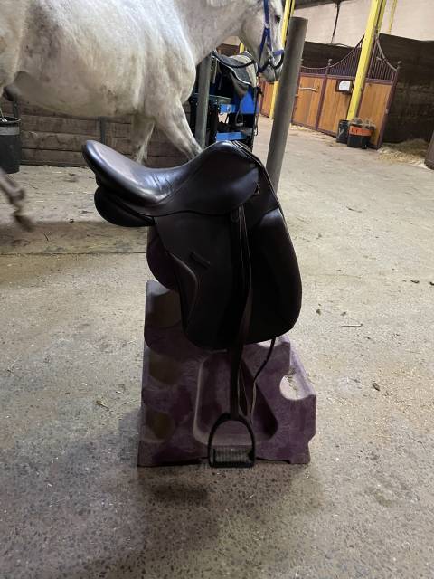 Sella da dressage   17" - 2018