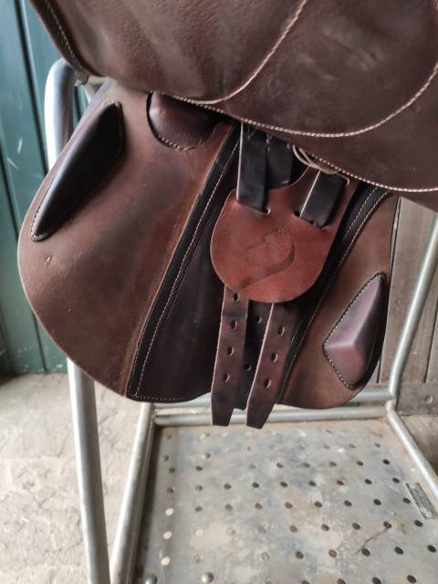 Sella da salto ostacoli Antarès Extra contact  17" - 2021