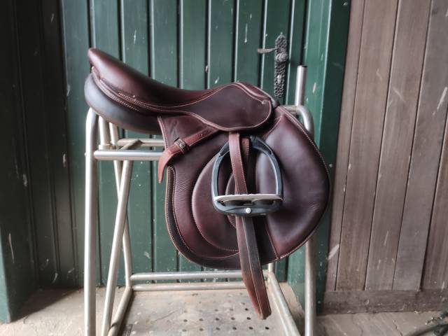 Sella da salto ostacoli Antarès Extra contact  17" - 2021