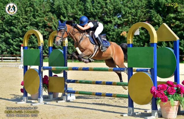 Super pony francese del 2012 in vendita