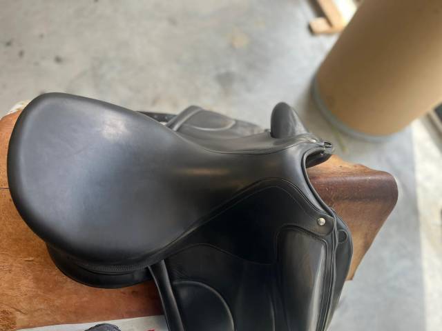 Sella da dressage Arion  18" - 2021