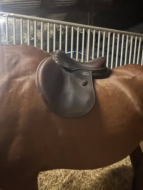 Sella mista  DTA Elite 17" - 2021