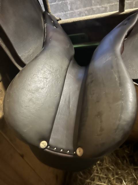 Sella mista  DTA Elite 17" - 2021