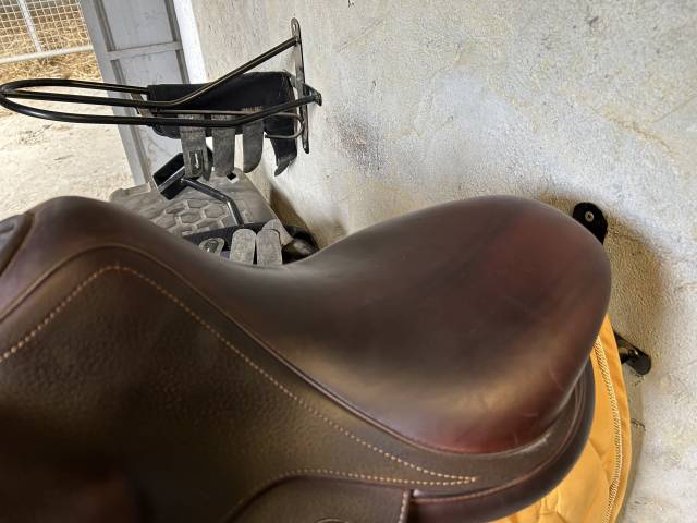 Sella mista  DTA Elite 17" - 2021