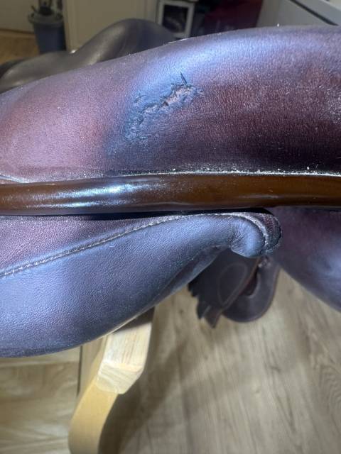 Sella da salto ostacoli GBS  17" - 2023