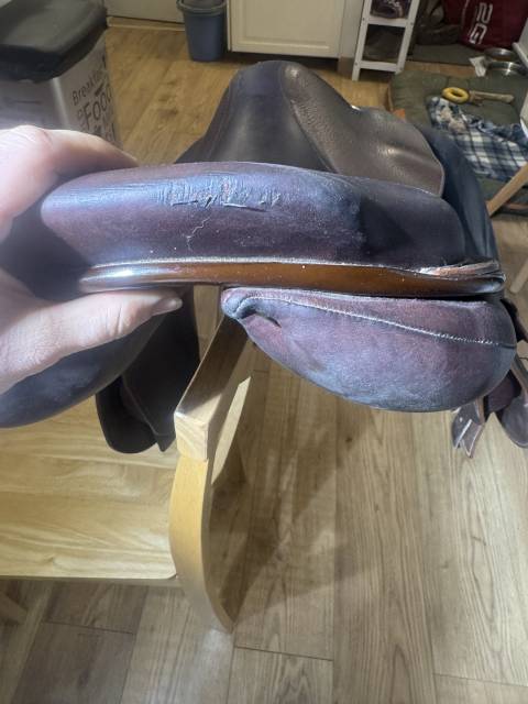 Sella da salto ostacoli GBS  17" - 2023