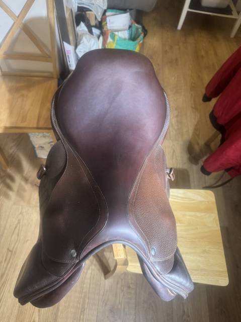 Sella da salto ostacoli GBS  17" - 2023