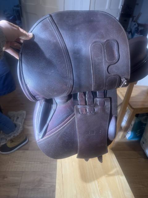 Sella da salto ostacoli GBS  17" - 2023