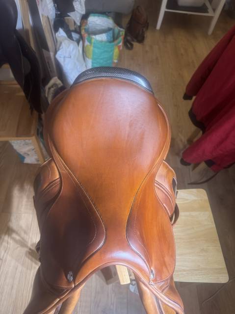 Sella da salto ostacoli CWD  17" - 2014