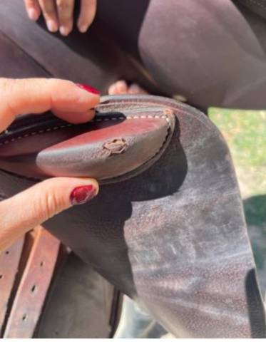 Sella da salto ostacoli GBS  17" - 2021