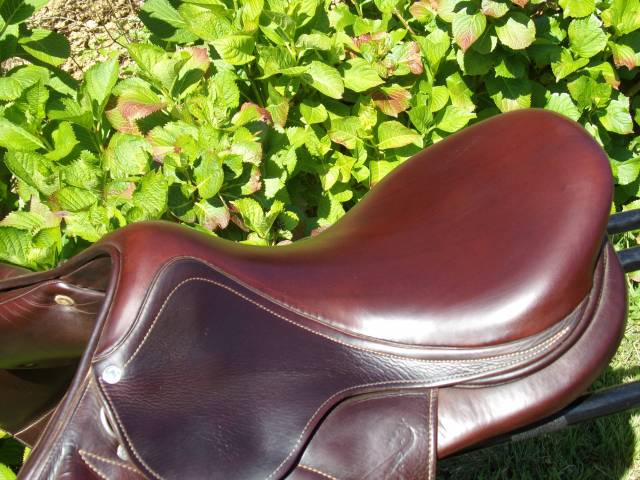 Sella da salto ostacoli Antarès  17.5" - 2019