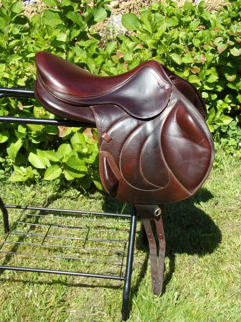 Sella da salto ostacoli Antarès  17.5" - 2019