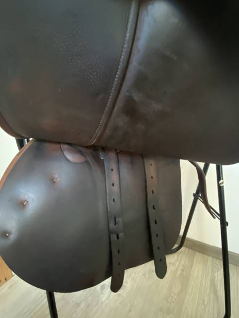 Sella da salto ostacoli Butet  16" - 2012