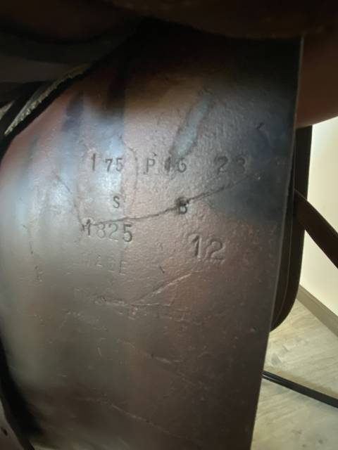 Sella da salto ostacoli Butet  16" - 2012