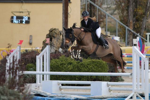 Cavalla PFS Pony Francese da Sella In vendita 2016 Sauro brulé