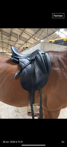 Sella da dressage Antar&egrave;s  17.5" - 2019