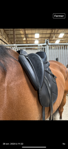 Sella da dressage Antar&egrave;s  17.5" - 2019