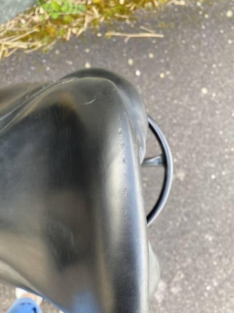 Sella da dressage Antar&egrave;s  17.5" - 2019