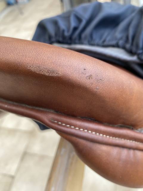 Sella da salto ostacoli Antar&egrave;s  17.5" - 2017