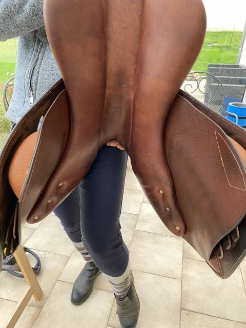 Sella da salto ostacoli Antar&egrave;s  17.5" - 2017