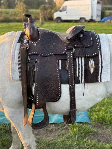 Sella western   17" - 2010